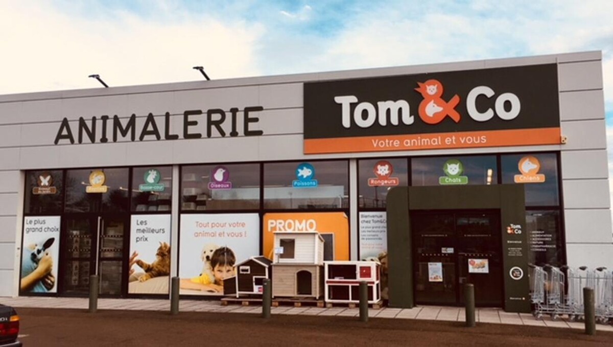 Images Tom&Co Auxerre