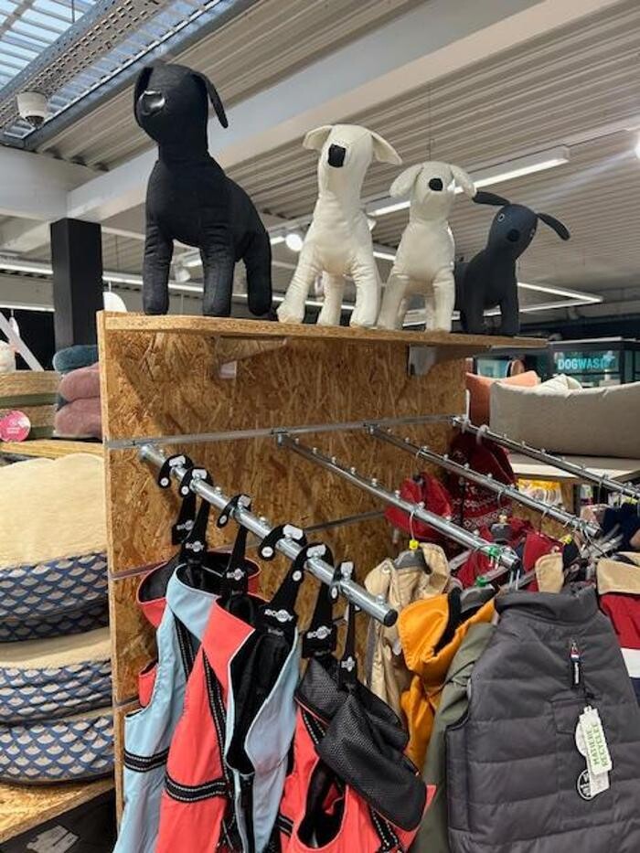 Images Tom&Co Chasse sur Rhône