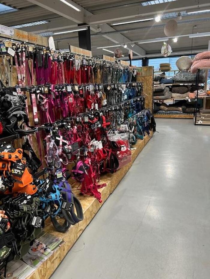 Images Tom&Co Chasse sur Rhône