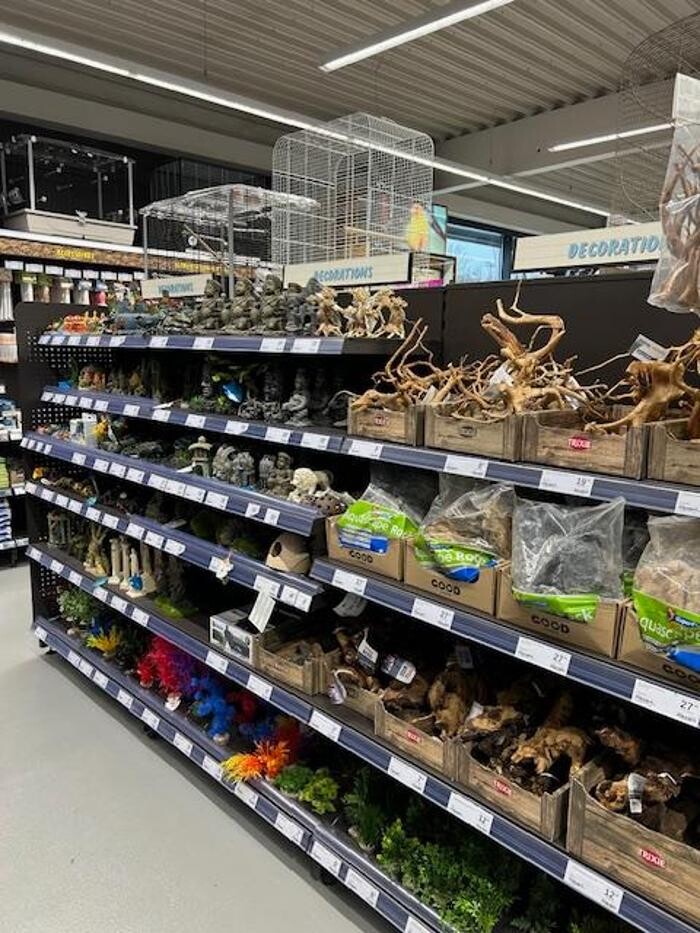 Images Tom&Co Chasse sur Rhône