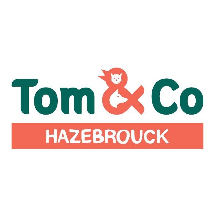 Images Tom&Co Hazebrouck