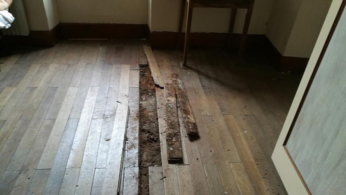 Images REY ASSECHEMENT