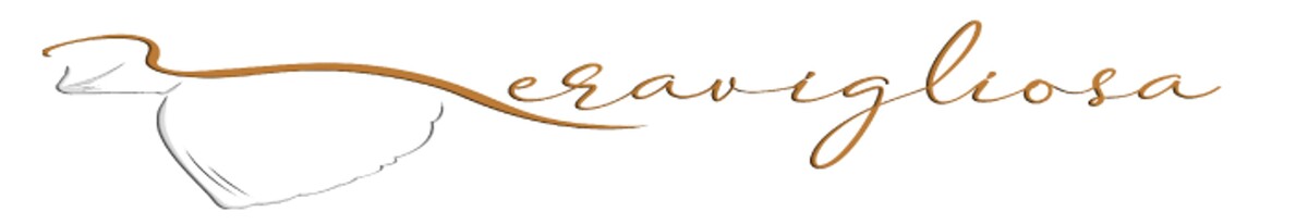 meravigliosa Logo