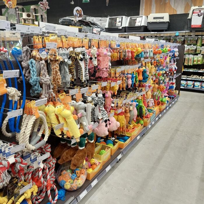 Images Tom&Co Hautmont - Louvroil