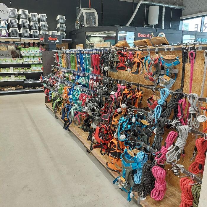 Images Tom&Co Hautmont - Louvroil