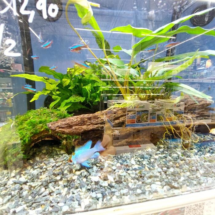 Images Tom&Co Hautmont - Louvroil