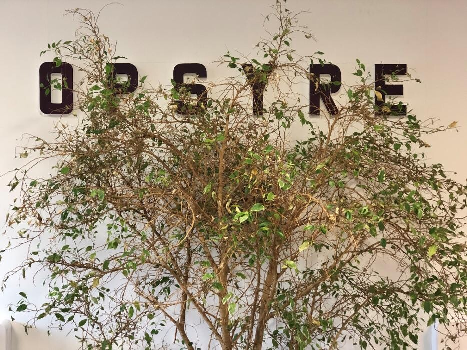 Images OPSYRE