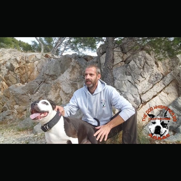 Images Éducateur Canin Comportementaliste Toulon - The Dog Whisperer 83