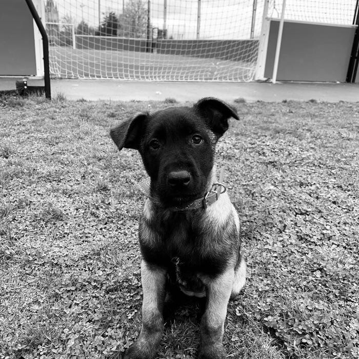 Images Euromaster Crépy Auto - Armentières