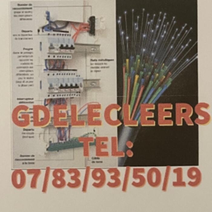 GDELECLEERS Logo