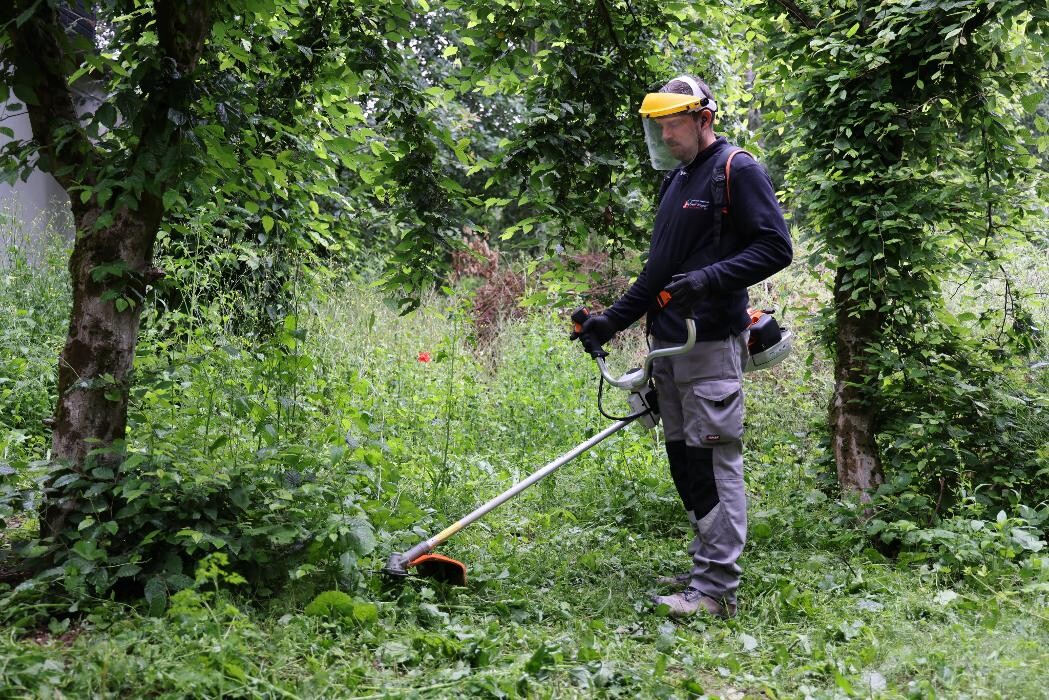 Images Daniel Moquet signe vos jardins - Ent. Fleury