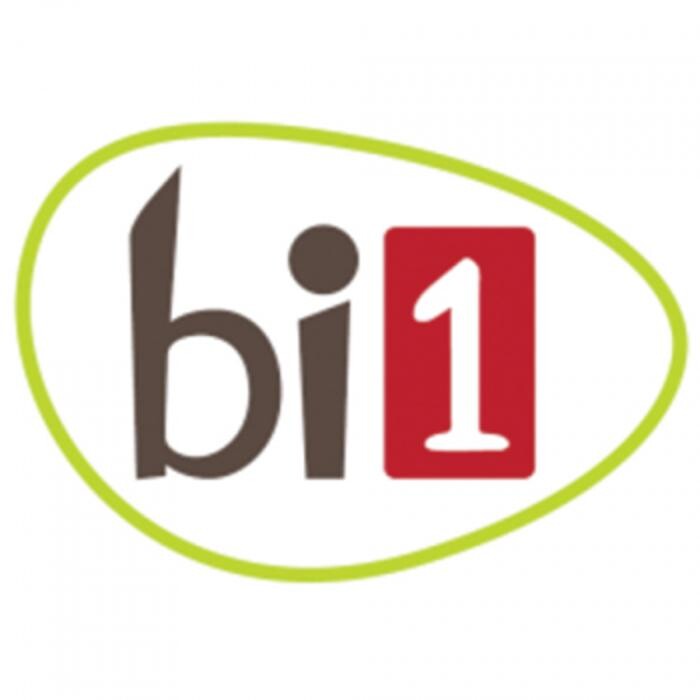 bi1 Logo