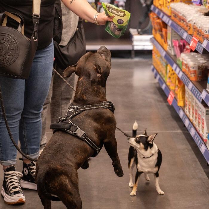 Images Tom&Co Plouzané