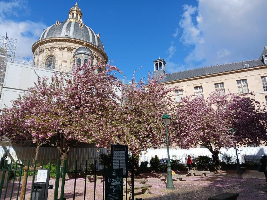 Images Paris Promenade