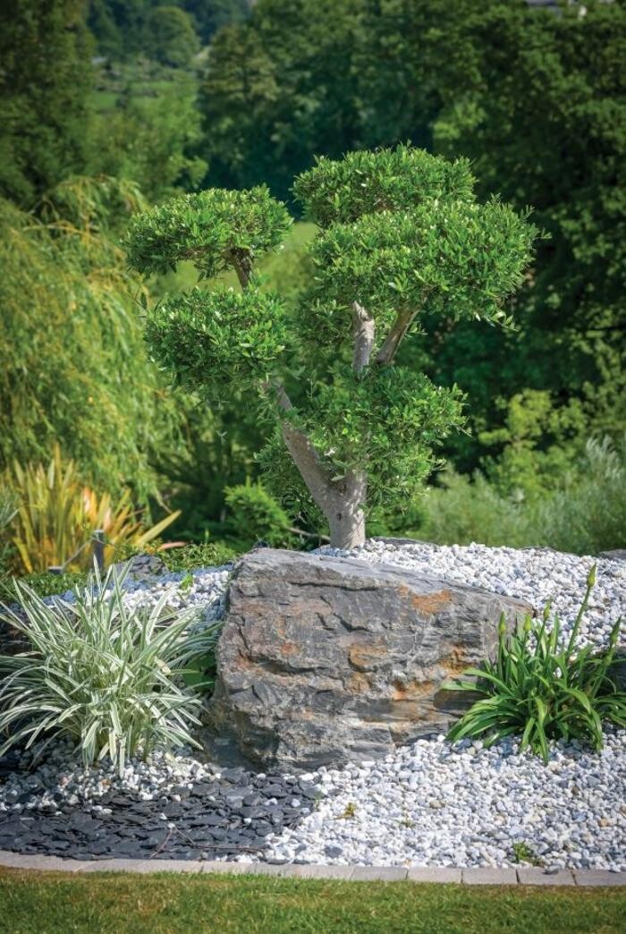 Images Daniel Moquet signe vos jardins - Ent. BC Jardins