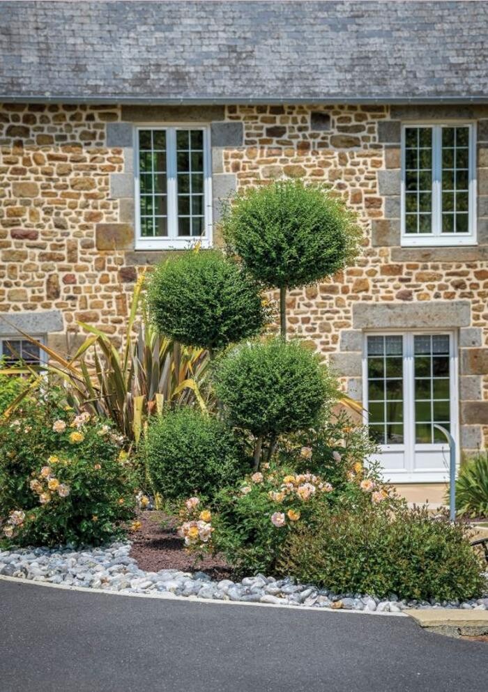 Images Daniel Moquet signe vos jardins - Ent. BC Jardins