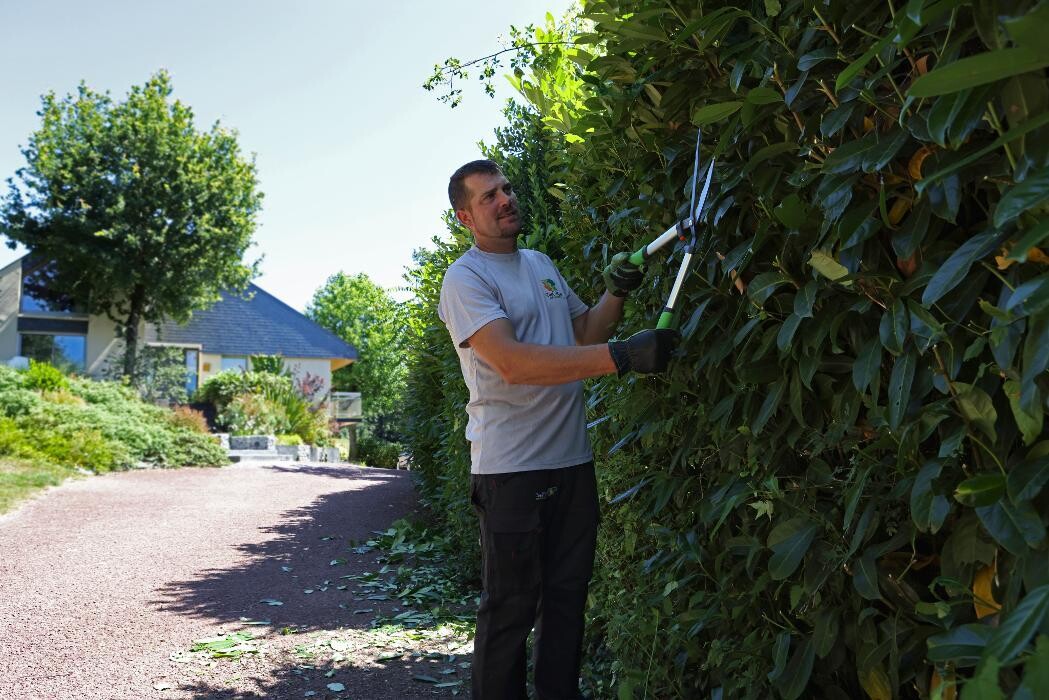 Images Daniel Moquet signe vos jardins - Ent. Tellier