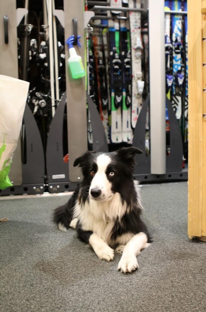 Images Concept - Location ski snowboard