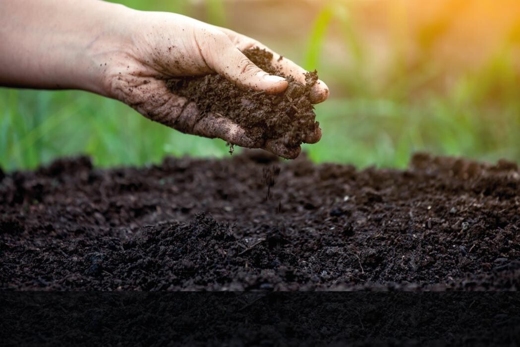 Images France Digesteur