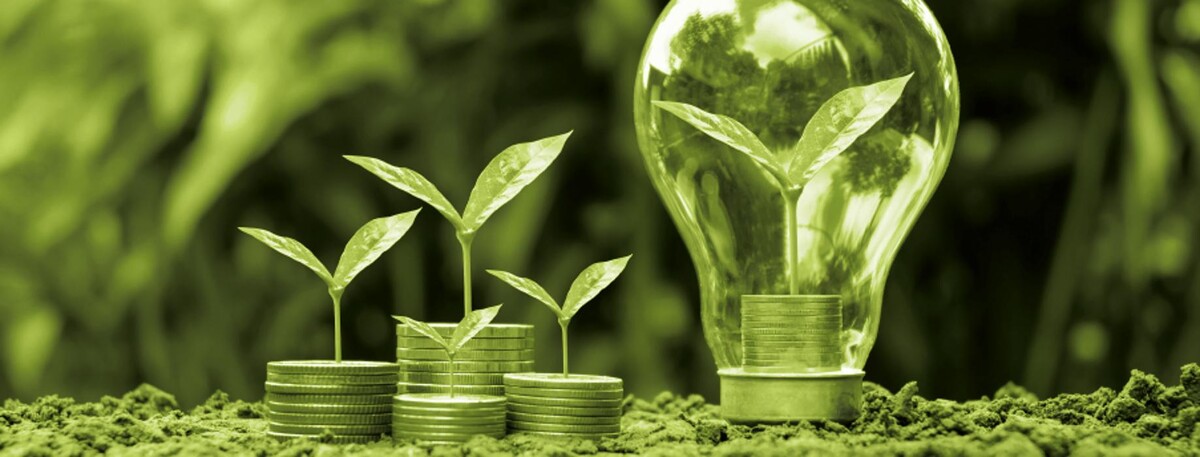 Images France Digesteur