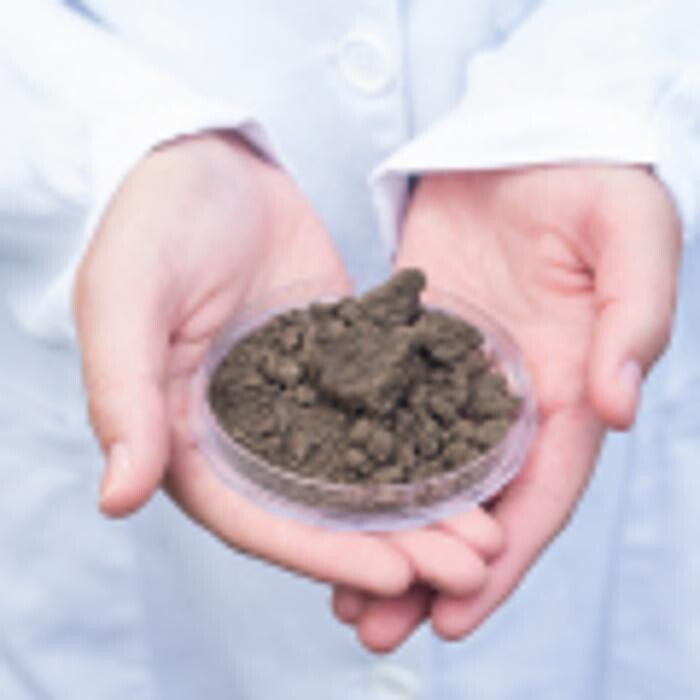 Images France Digesteur