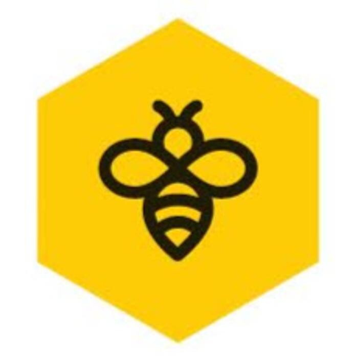 Api Environnement Logo