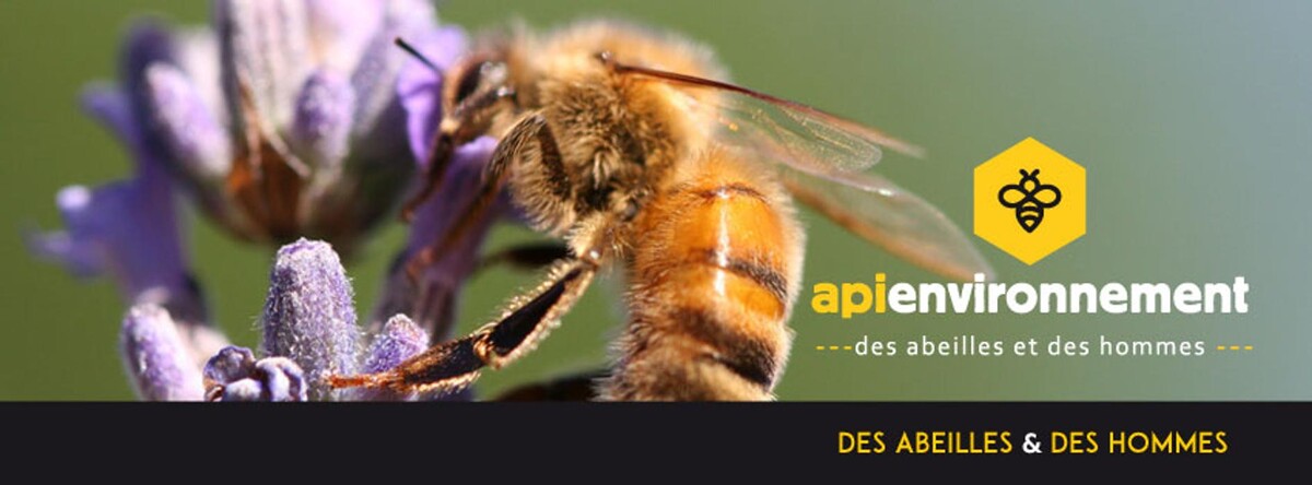 Images Api Environnement
