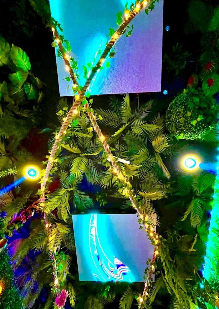 Images Jungle Dreams Bar