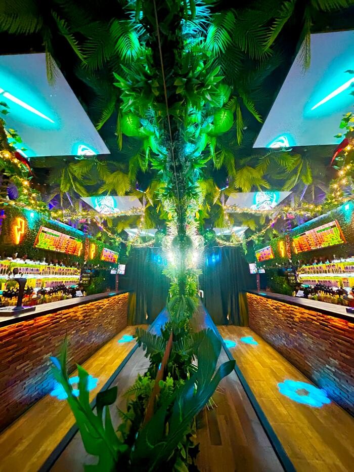 Images Jungle Dreams Bar