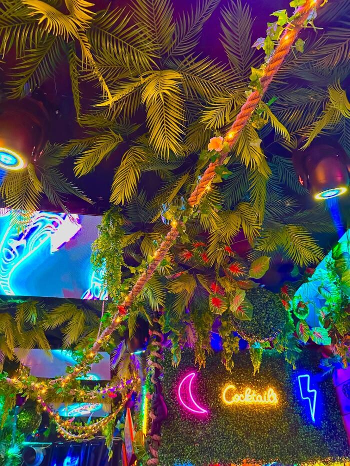 Images Jungle Dreams Bar