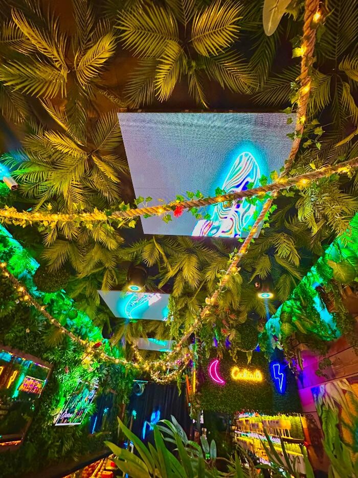 Images Jungle Dreams Bar