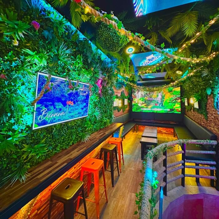 Images Jungle Dreams Bar