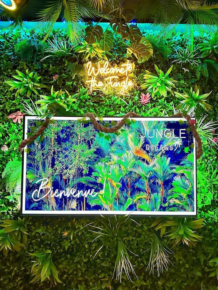 Images Jungle Dreams Bar