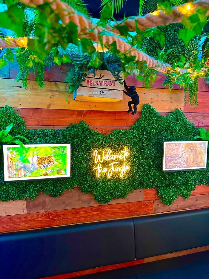 Images Jungle Dreams Bar