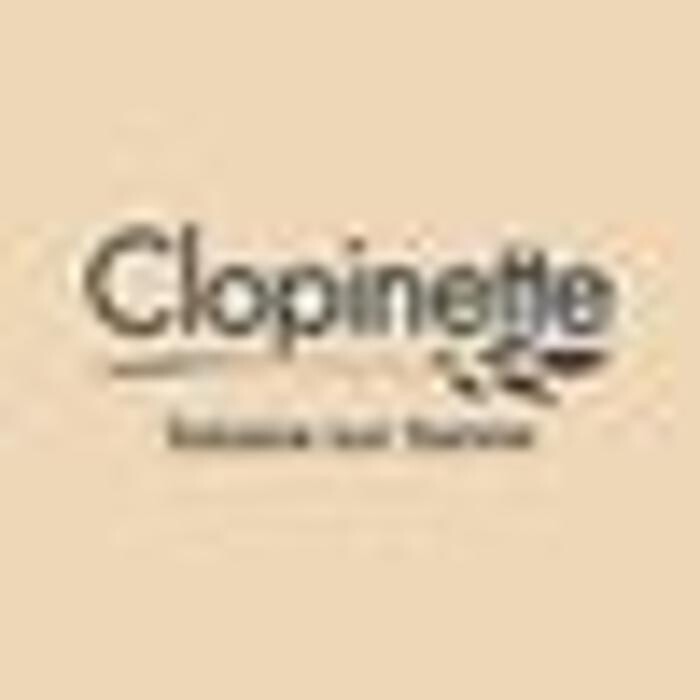 Images Clopinette Cigarette Électronique