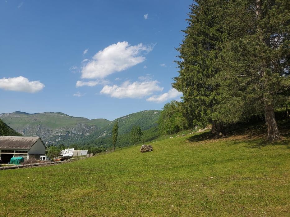 Images Le Cerf et la Biche