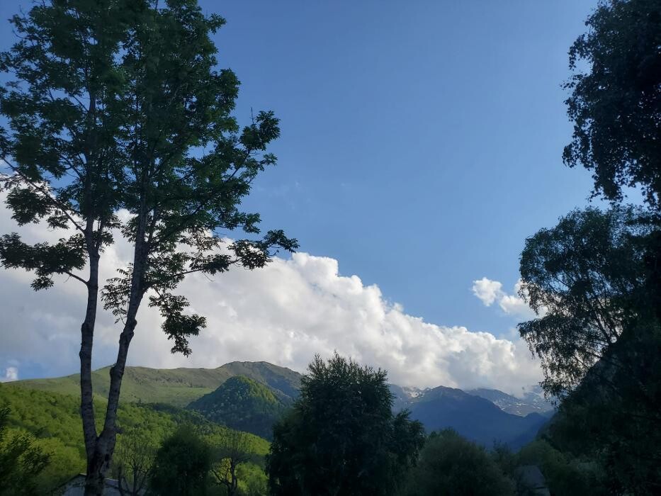 Images Le Cerf et la Biche