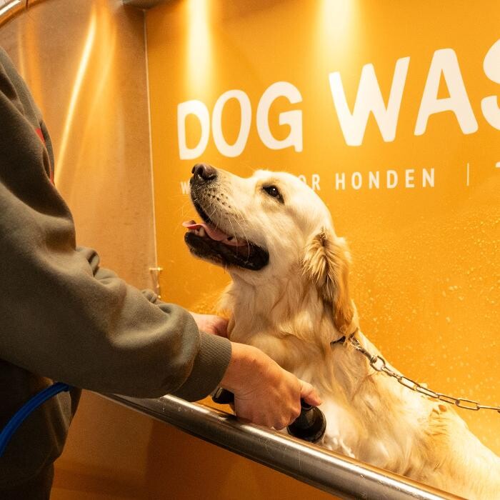 Images Tom&Co Brest - Animalerie - Dog Wash