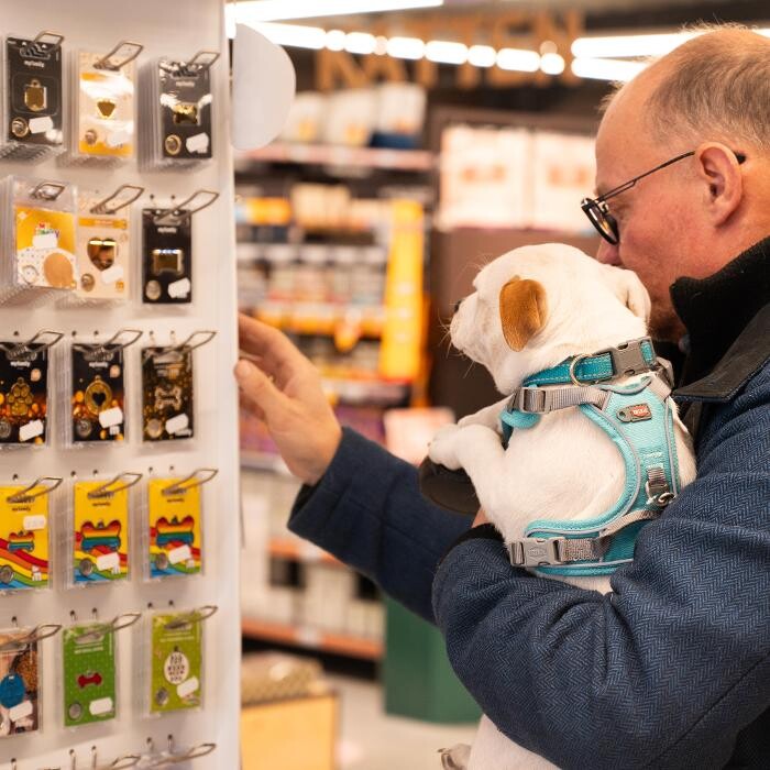 Images Tom&Co Brest - Animalerie - Dog Wash