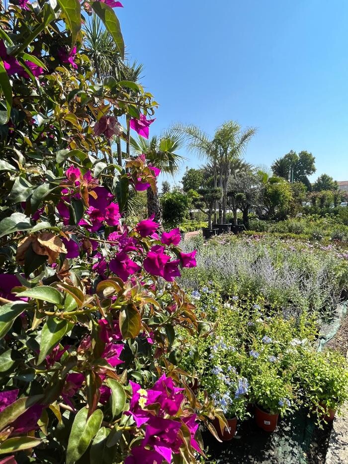 Images Villaverde Grimaud