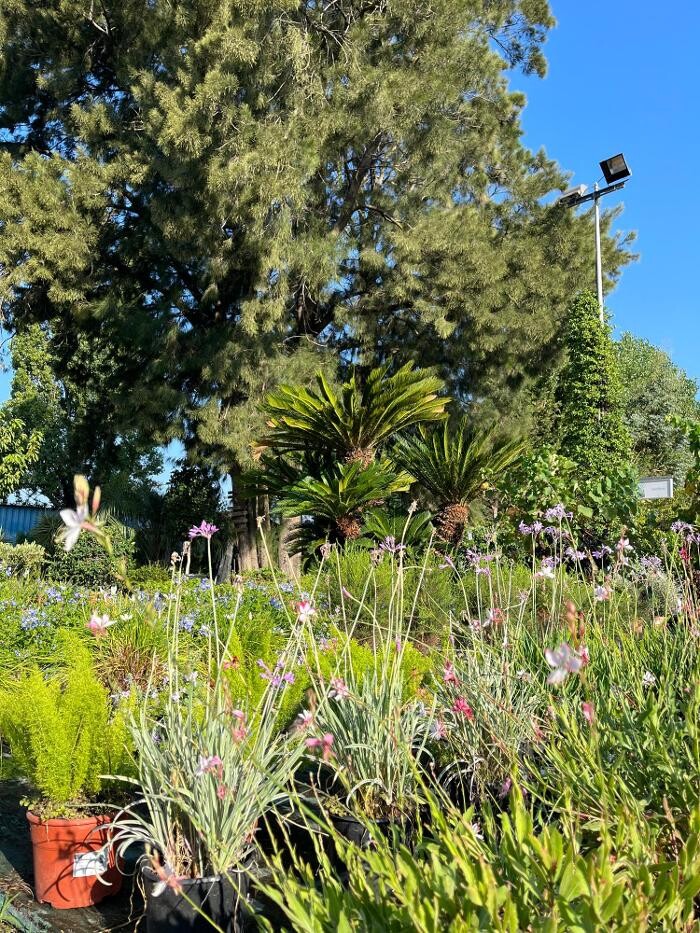 Images Villaverde Grimaud