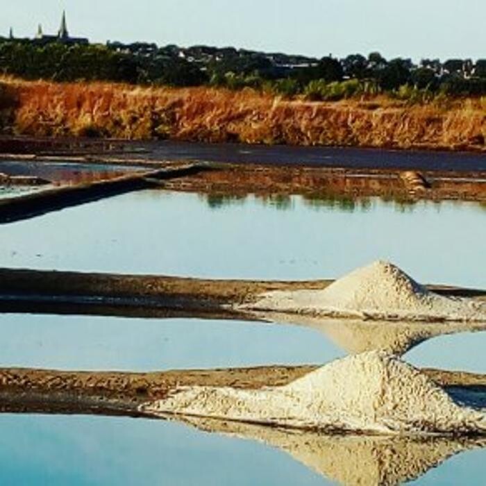 Images DESMARS & SALANTS EMILIE PALUDIERE à GUERANDE