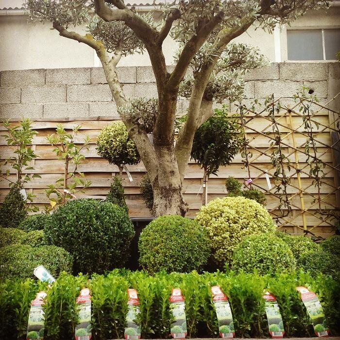 Images VillaVerde Carcassonne