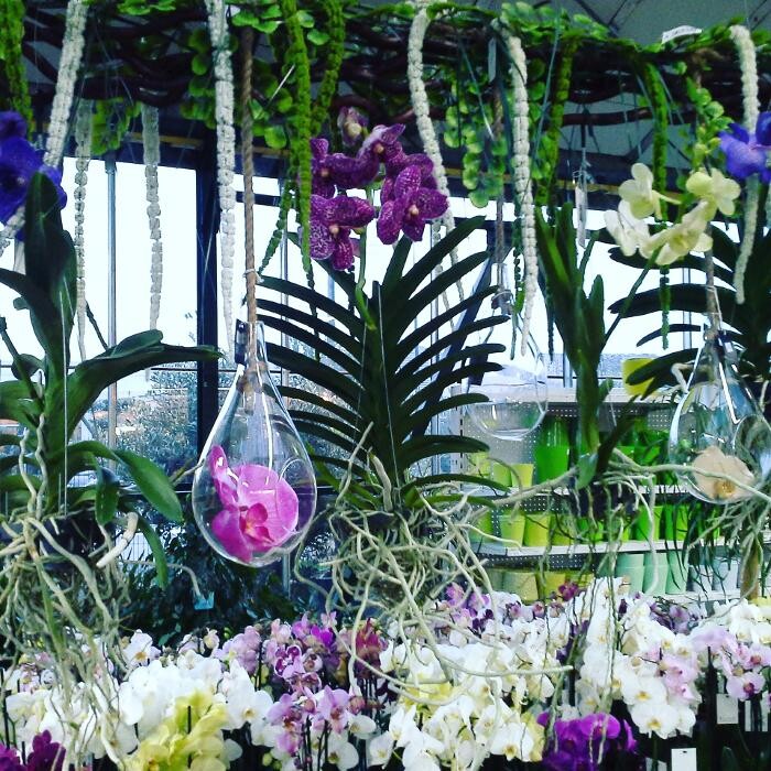 Images VillaVerde Carcassonne