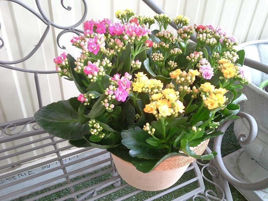 Images VillaVerde Carcassonne