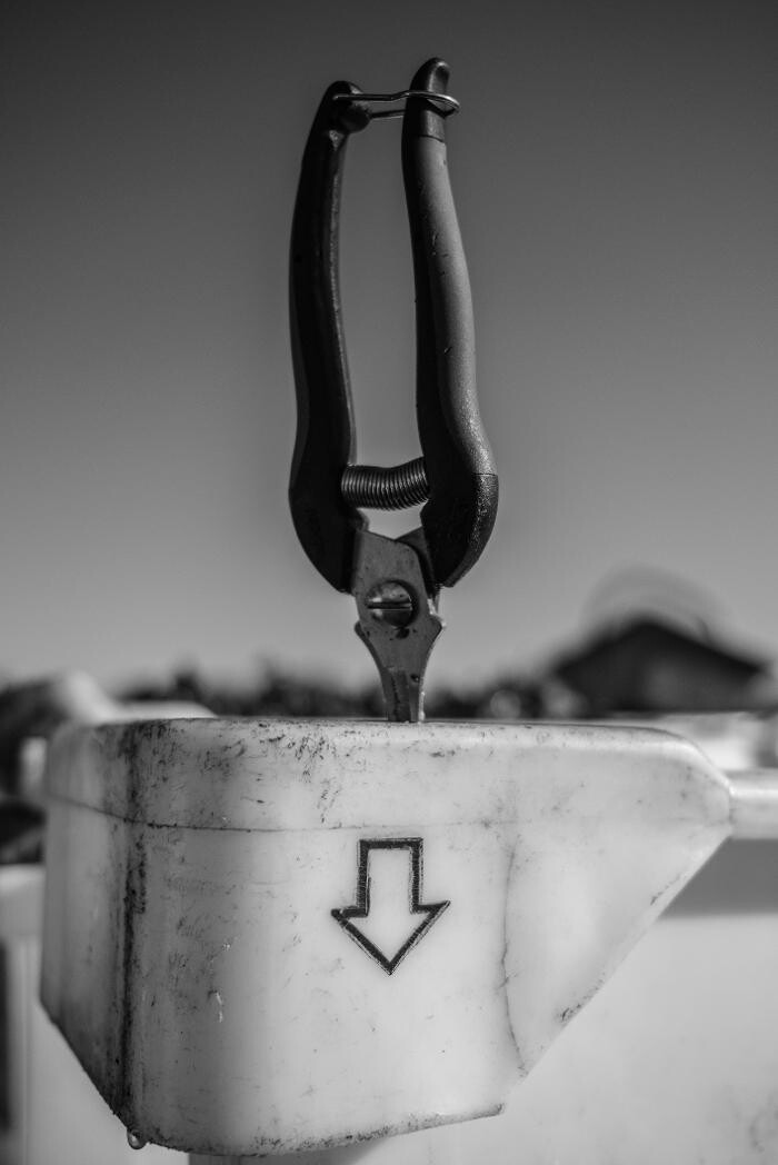 Images Barbot Studio Fred Encuentra