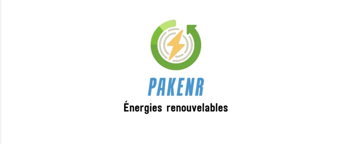 Pakenr Logo