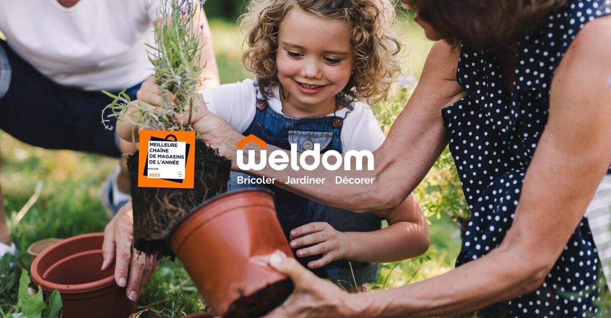 Images Weldom Rennes La Visitation