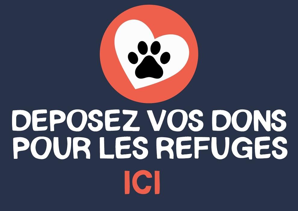 Images Tom&Co La Rochelle - Animalerie - Dog wash