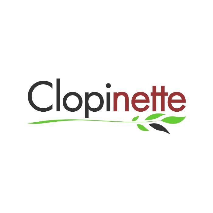 Images Clopinette Vannes